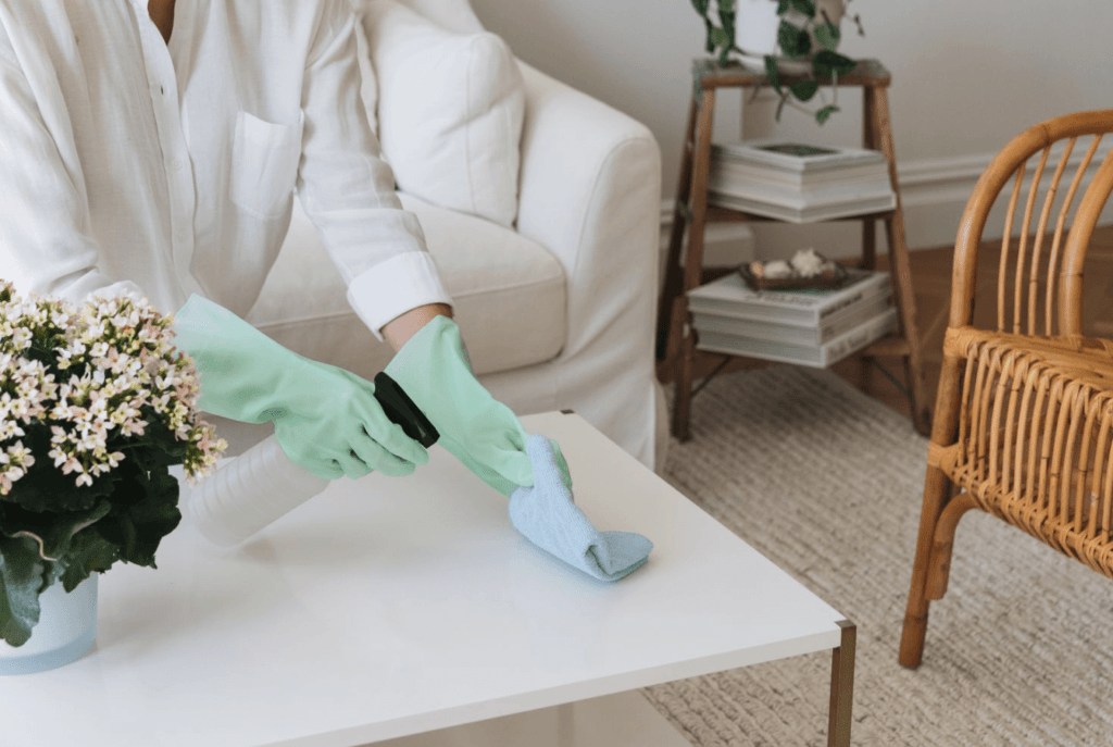 Spring Cleaning